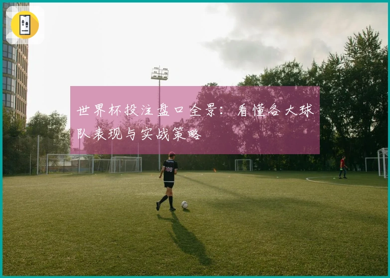 世界杯投注盘口全景：看懂各大球队表现与实战策略