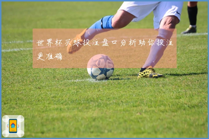 世界杯买球投注盘口分析助你投注更准确